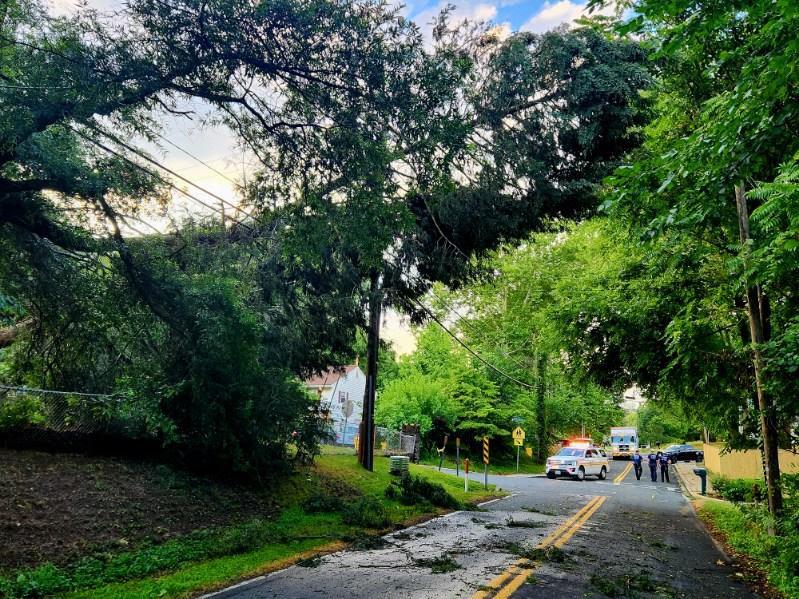 Man, Dog Fatally Electrocuted During Severe Thunderstorm In Anne