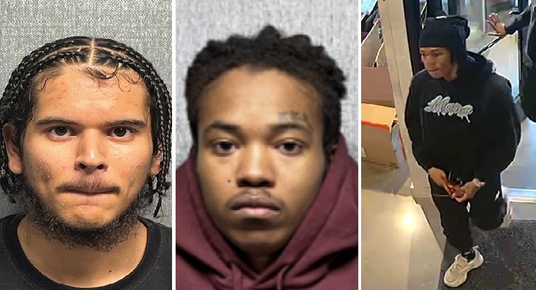 Two Suspects Arrested Following Murder At Store In Prince George's ...