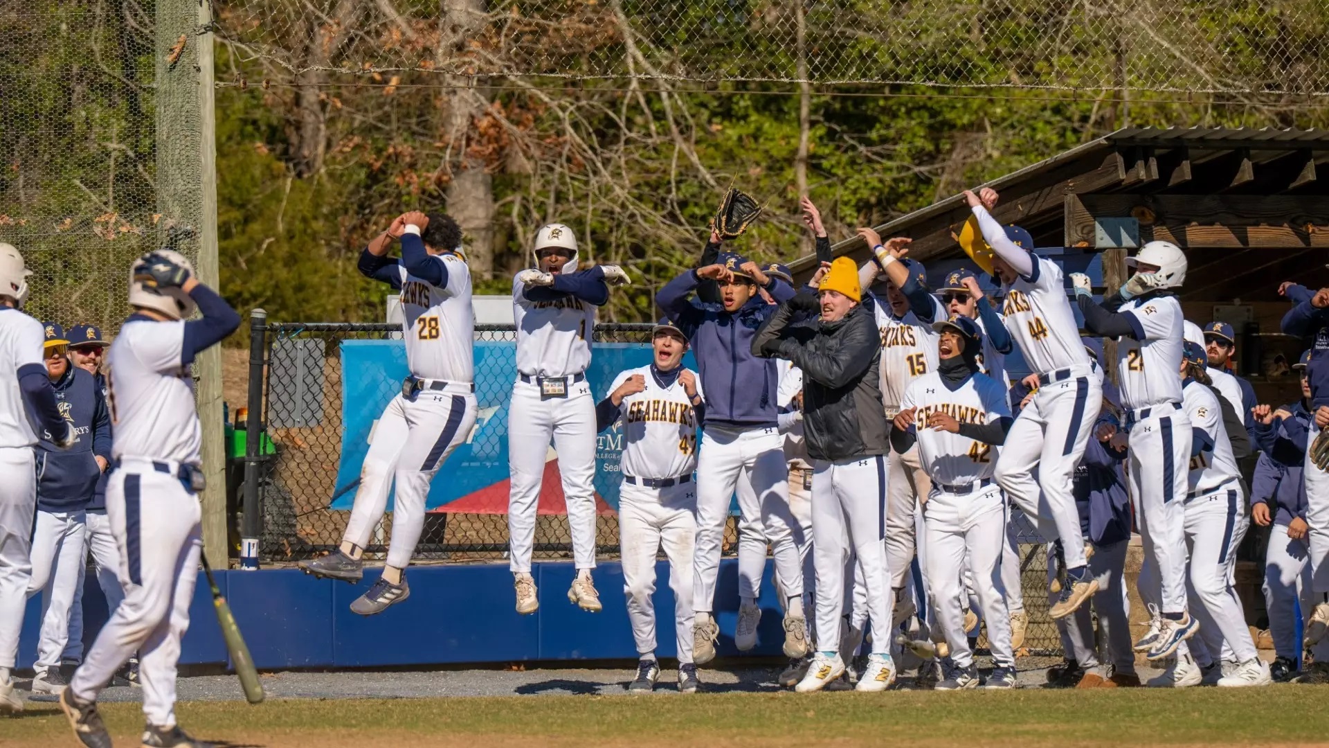 St. Mary's College Baseball Concludes Season In United East Conference ...