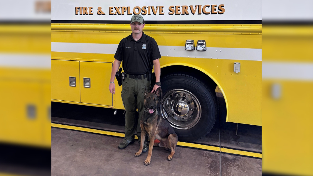 Annapolis Fire Department Welcomes New K9 Raven: A Black Labrador Joining the Team