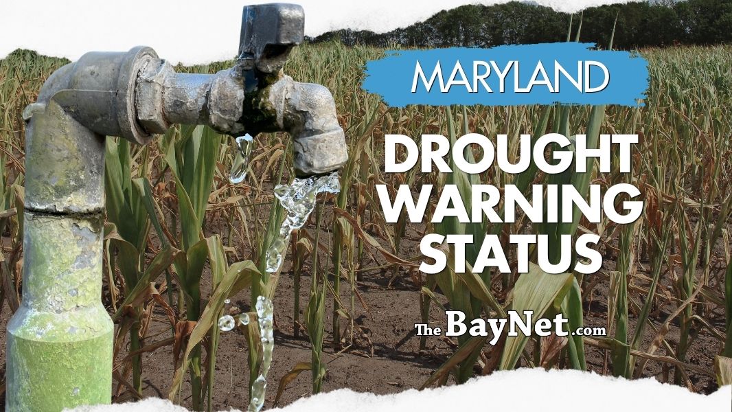Maryland’s Drought Isn’t Over: Why Southern Maryland Residents Should Still Conserve Water