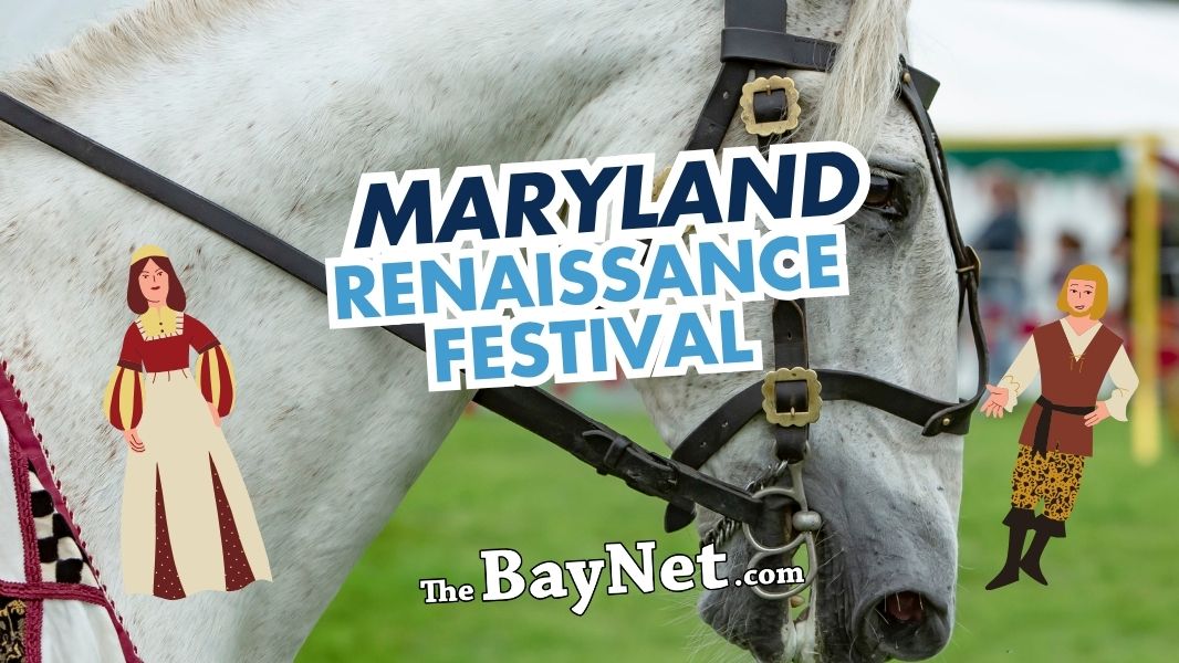 Maryland Renaissance Festival: Everything First-Time Visitors Need To Know